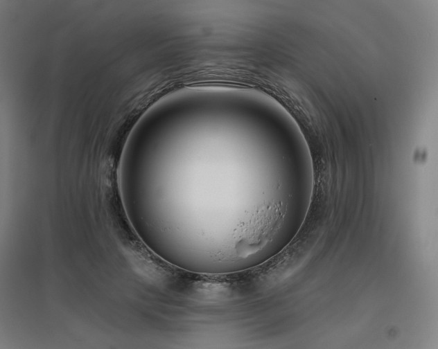 X0000095900649200801111210