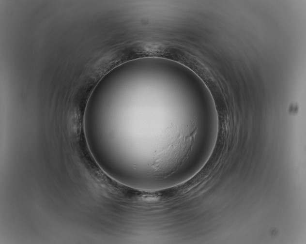 X0000095900651200801111210