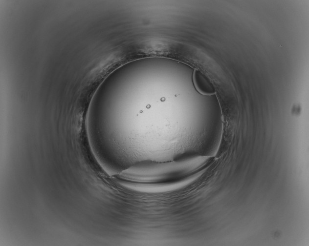 X0000095900652200801111210