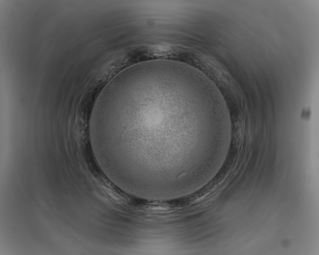 X0000095900653200801111210
