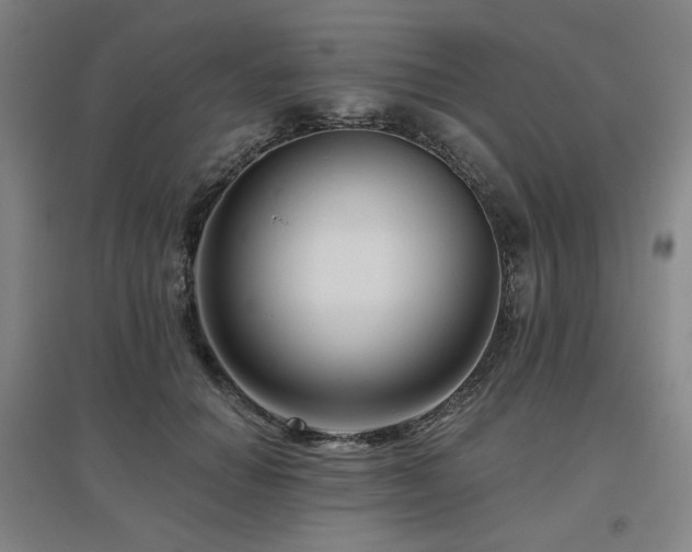 X0000095900654200801111210
