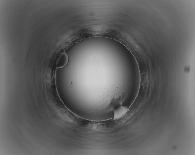X0000095900655200801111210
