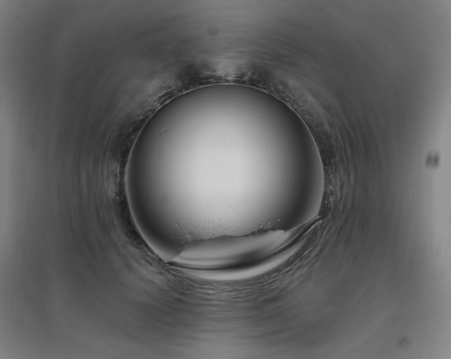 X0000095900656200801111210