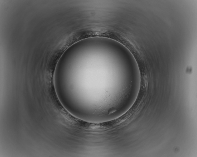 X0000095900657200801111210
