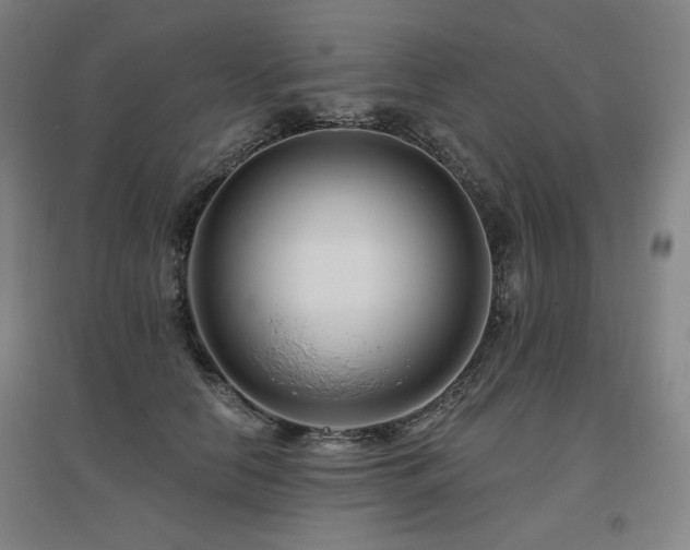 X0000095900658200801111210