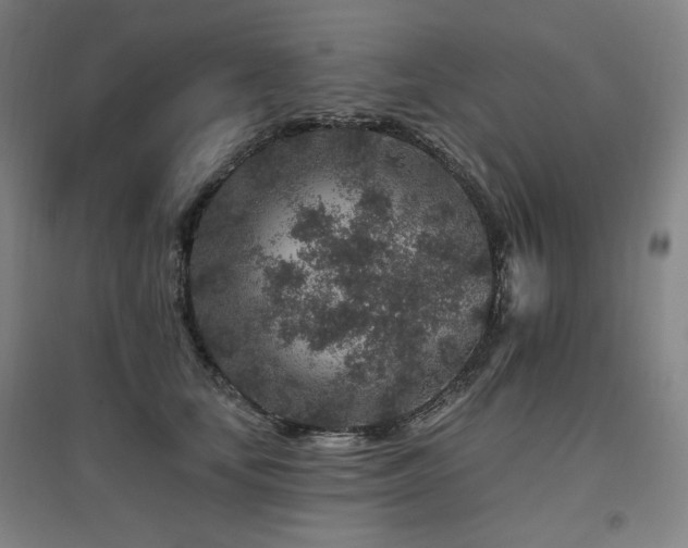 X0000095900659200801111210