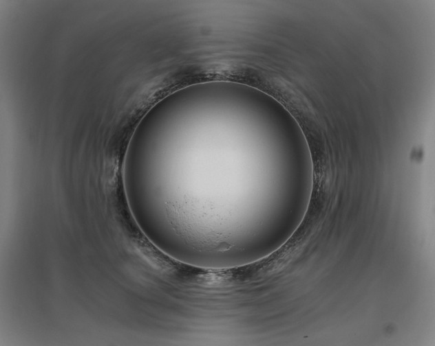 X0000095900660200801111211