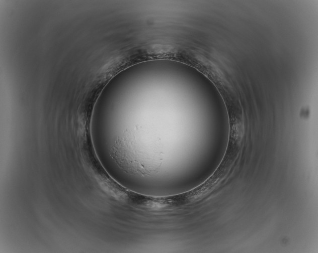 X0000095900662200801111211