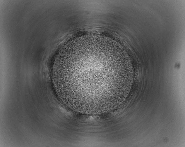 X0000095900663200801111211