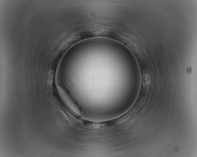 X0000095900664200801111211