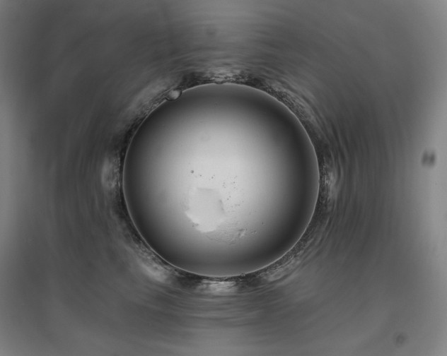X0000095900665200801111211