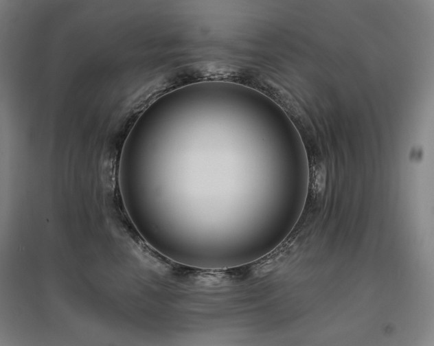 X0000095900666200801111211
