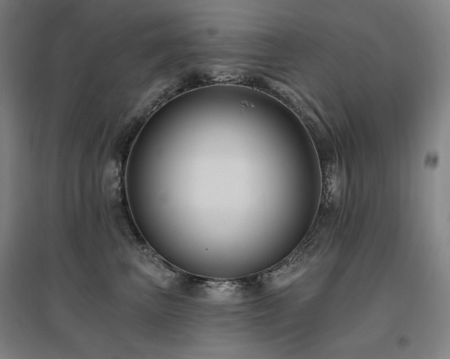 X0000095900667200801111211