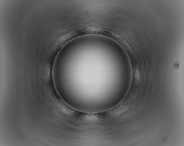 X0000095900668200801111211