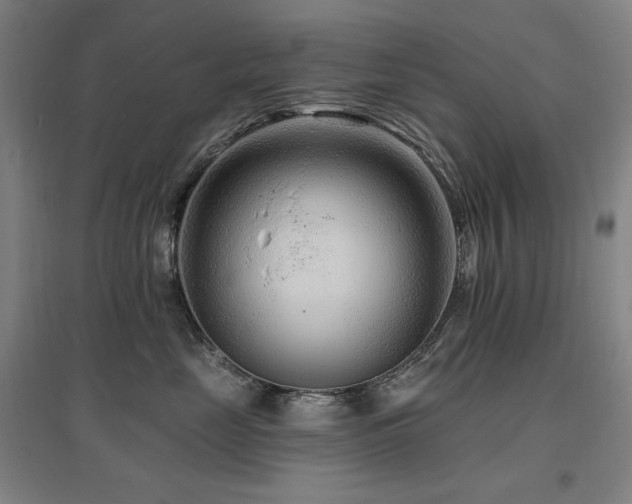 X0000095900669200801111211