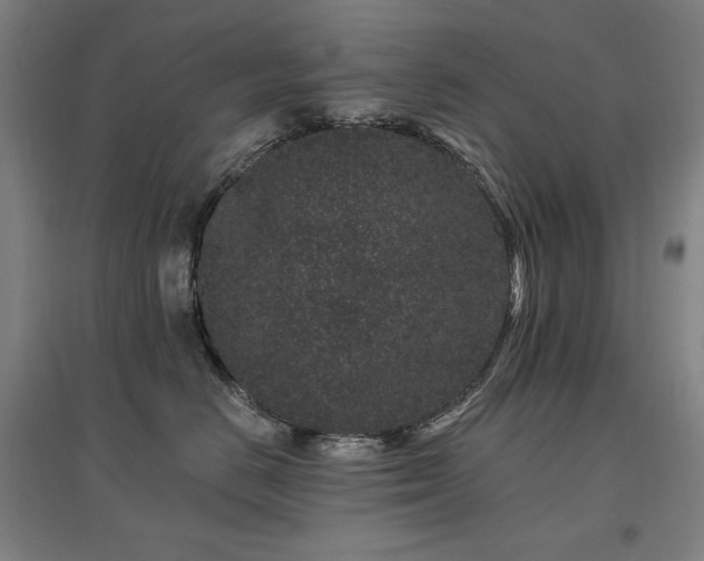 X0000095900670200801111211