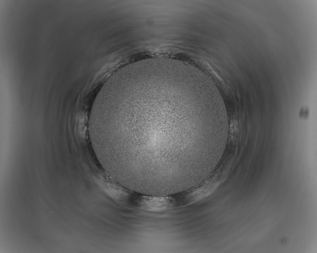 X0000095900671200801111211