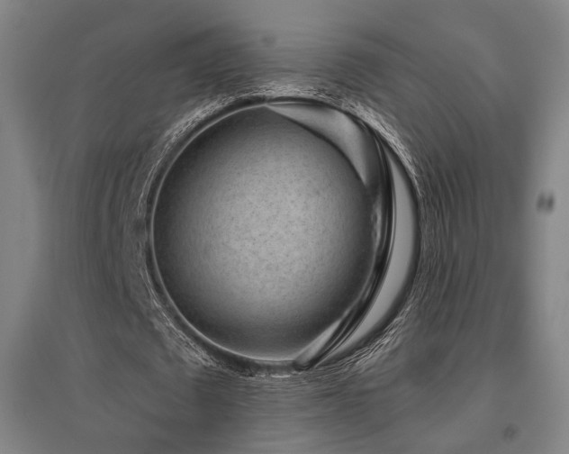 X0000095900673200801111210