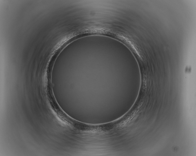 X0000095900674200801111210