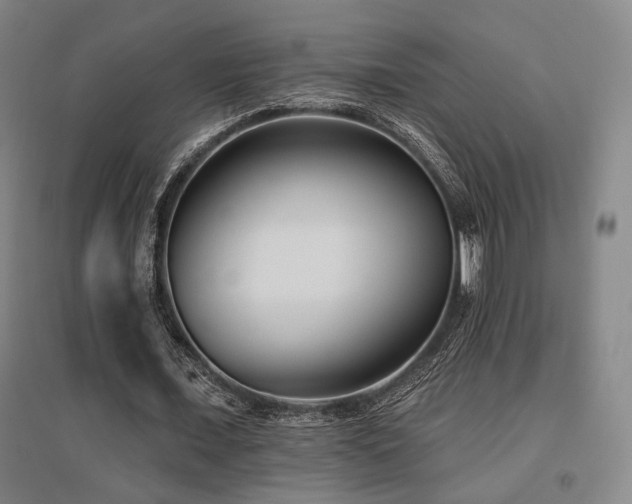 X0000095900675200801111210