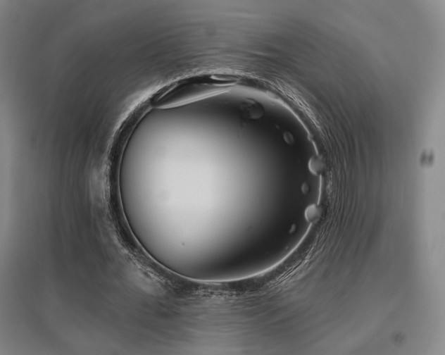 X0000095900676200801111210