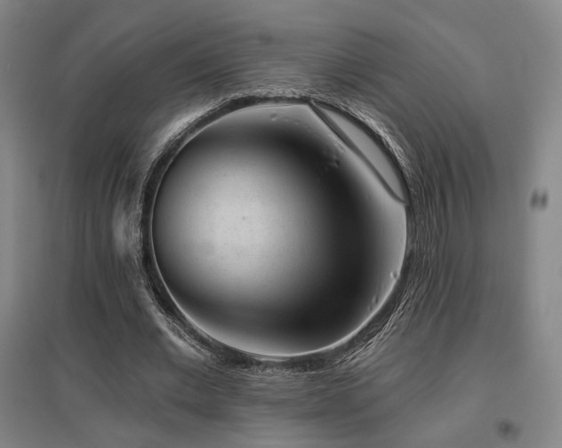 X0000095900677200801111210