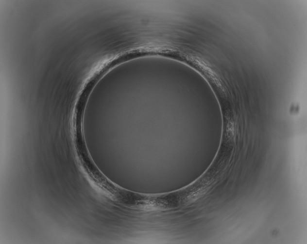 X0000095900678200801111210