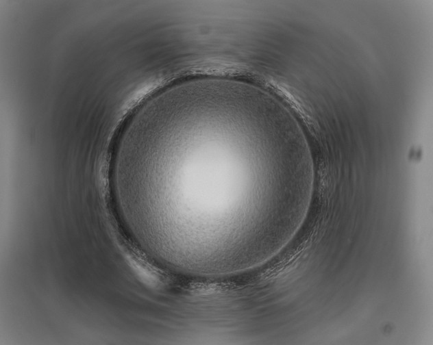 X0000095900679200801111210