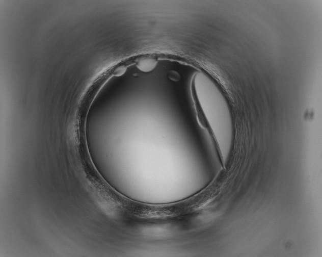 X0000095900680200801111210