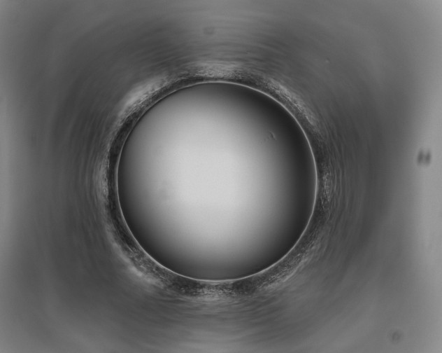 X0000095900682200801111210