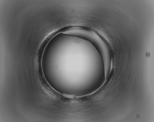 X0000095900684200801111210