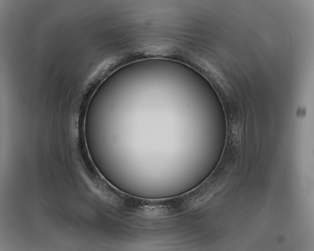 X0000095900686200801111210