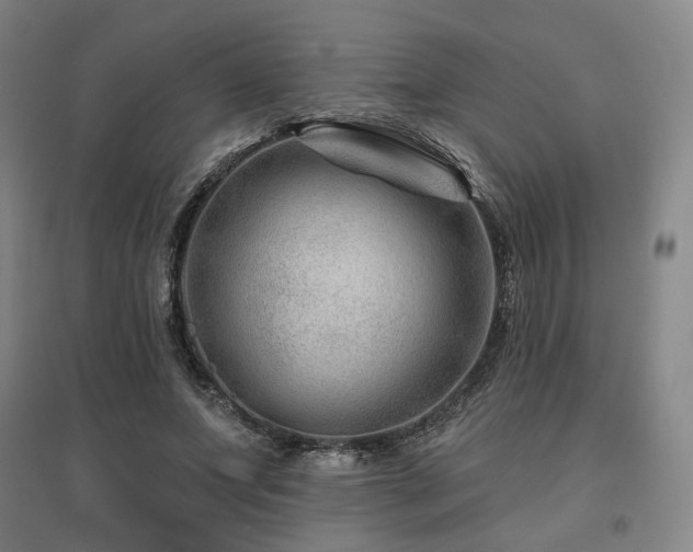 X0000095900687200801111210