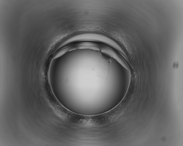 X0000095900688200801111210