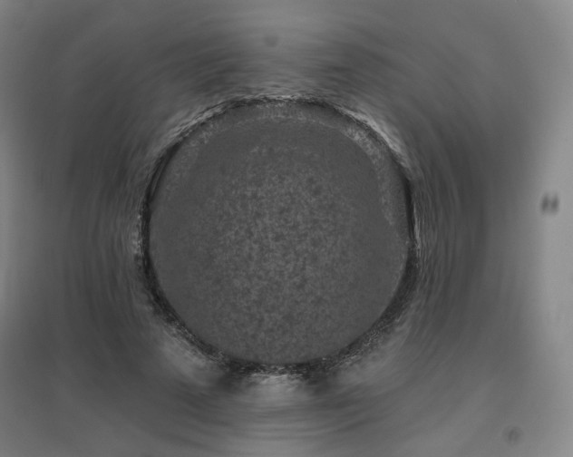 X0000095900689200801111210