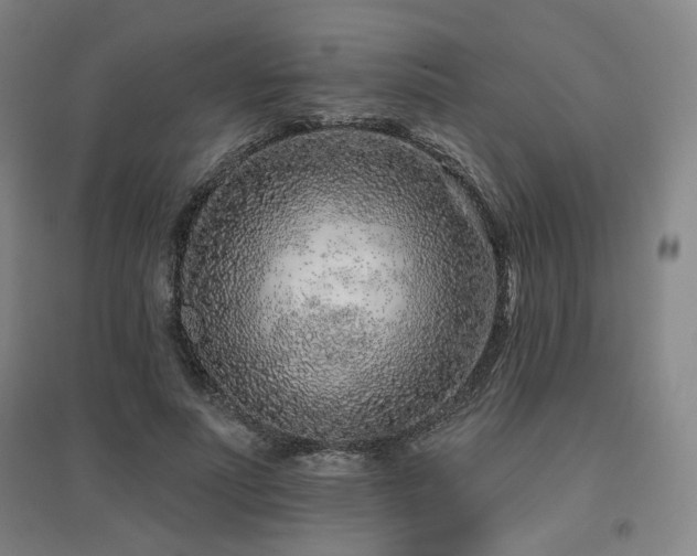 X0000095900691200801111210