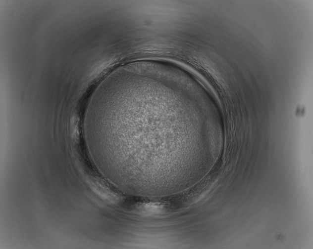 X0000095900692200801111210