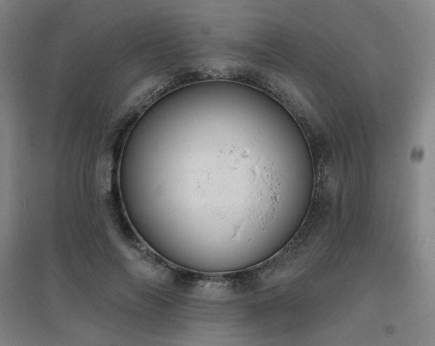 X0000095900694200801111210