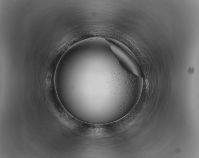 X0000095900695200801111210