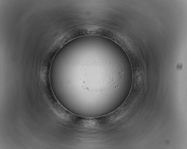 X0000095900698200801111209