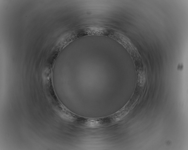 X0000095900701200801111209