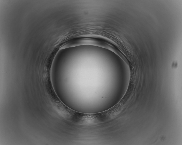 X0000095900704200801111209
