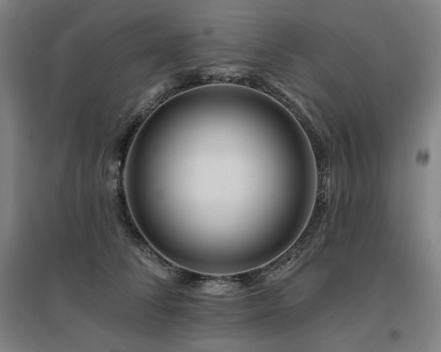 X0000095900708200801111209