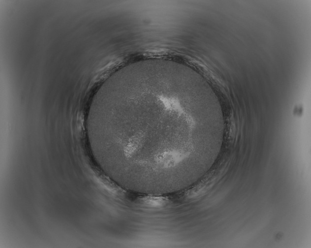 X0000095900711200801111209