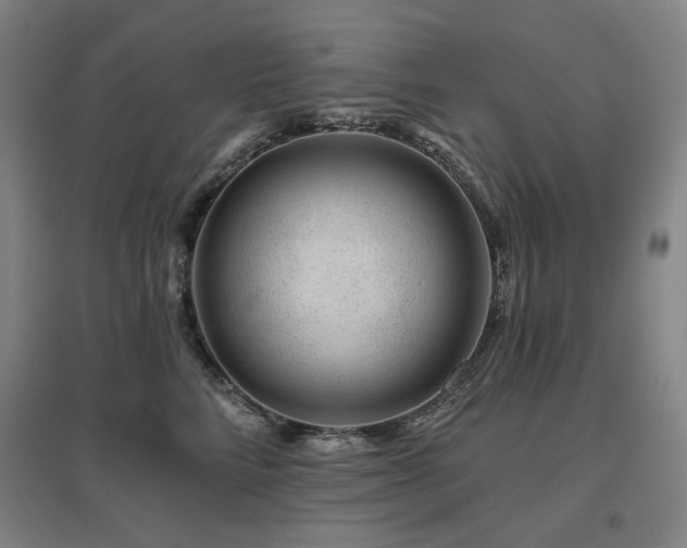 X0000095900712200801111209
