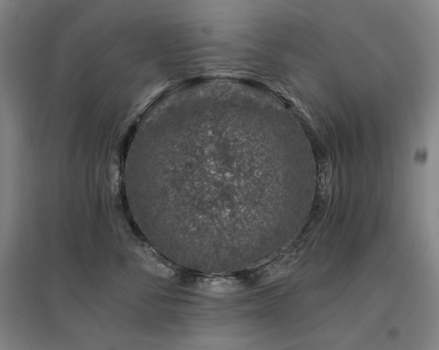 X0000095900716200801111209