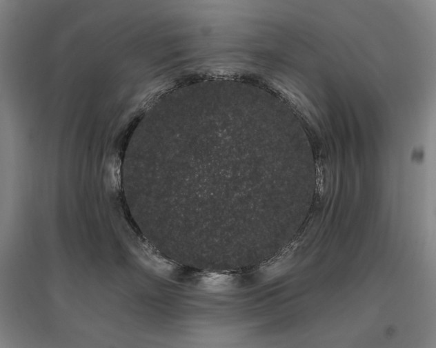 X0000095900718200801111209