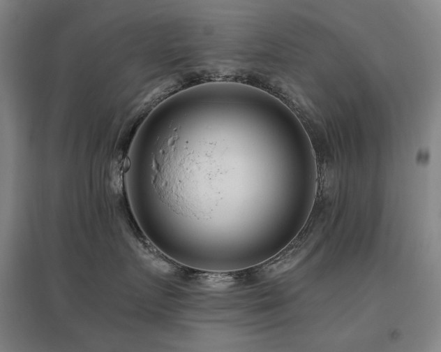 X0000095900719200801111209
