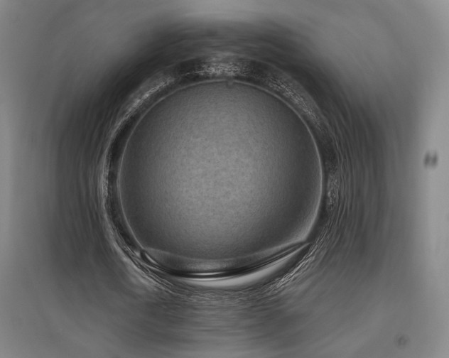 X0000095900722200801111209