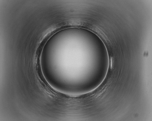 X0000095900723200801111209